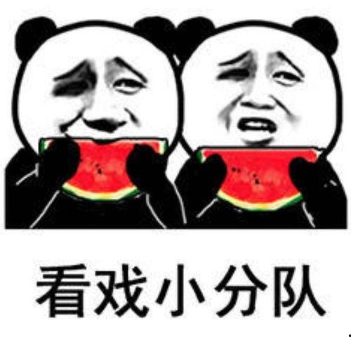吃瓜群众好快乐图片 第3张 吃瓜群众好快乐图片 第3张